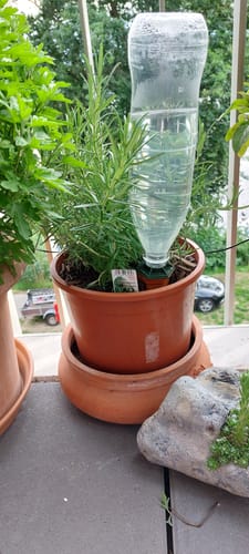 Customer photo review of Topfpflanzenbewässerung „Hydro Wine“ 4 Stk. Tonkegel für Wein- & PET-Flaschen