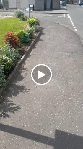 Customer video review of WagWellies® Mojave