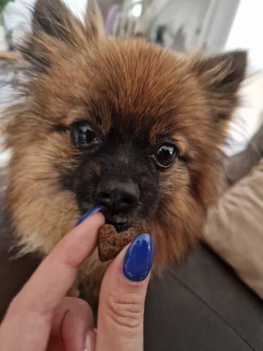 Customer photo review of Complément articulations | 60 bouchées