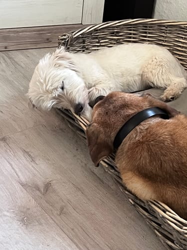 Customer photo review of Relax Time