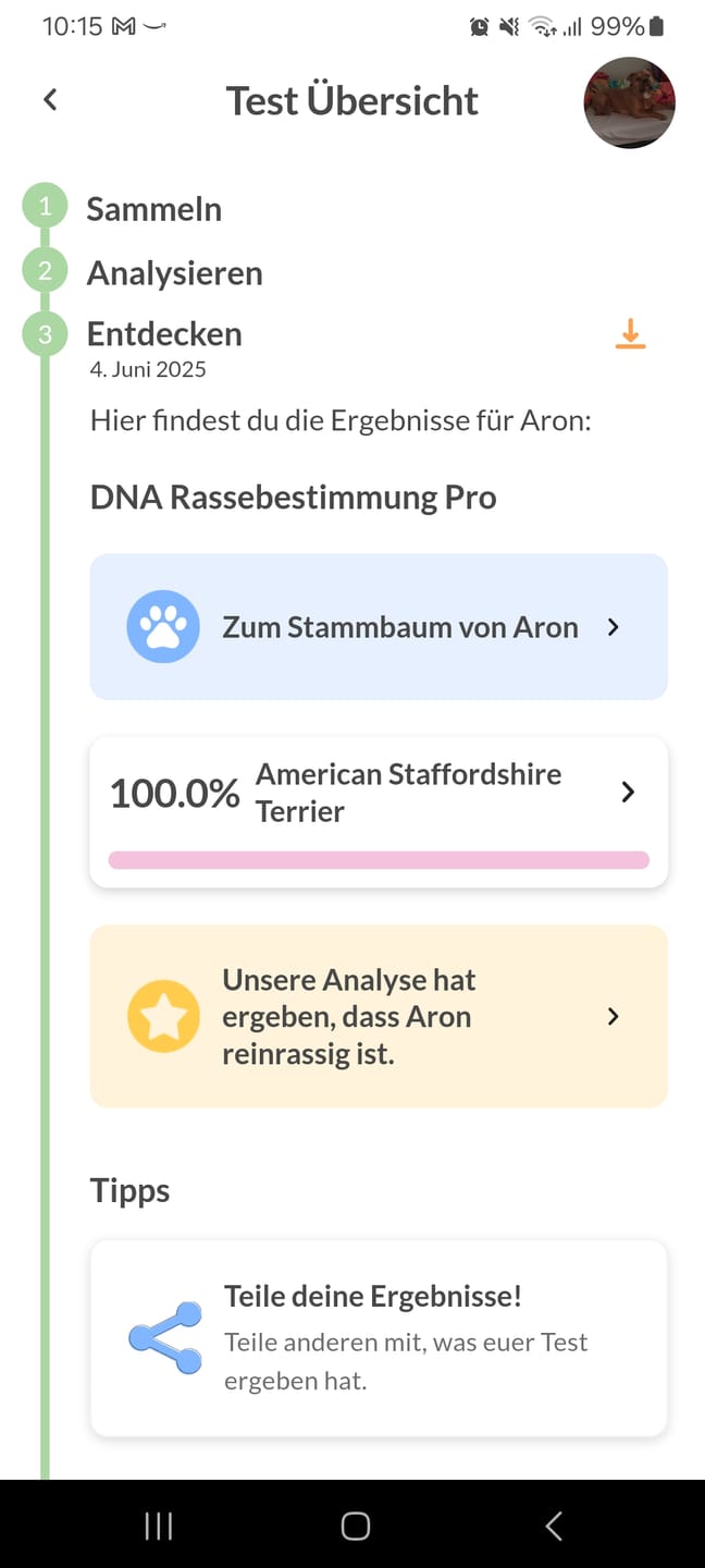 Customer photo review of DNA Test Rassebestimmung Pro Hund