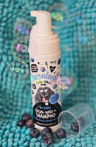 Customer photo review of Blueberry Spa™ No Rinse Facial Wash + Shampoo with Blueberry & Colloidal Oatmeal for Dogs