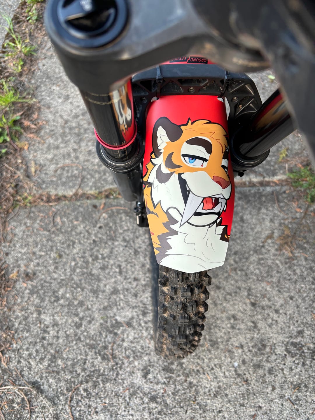 Customer photo review of Custom Fender