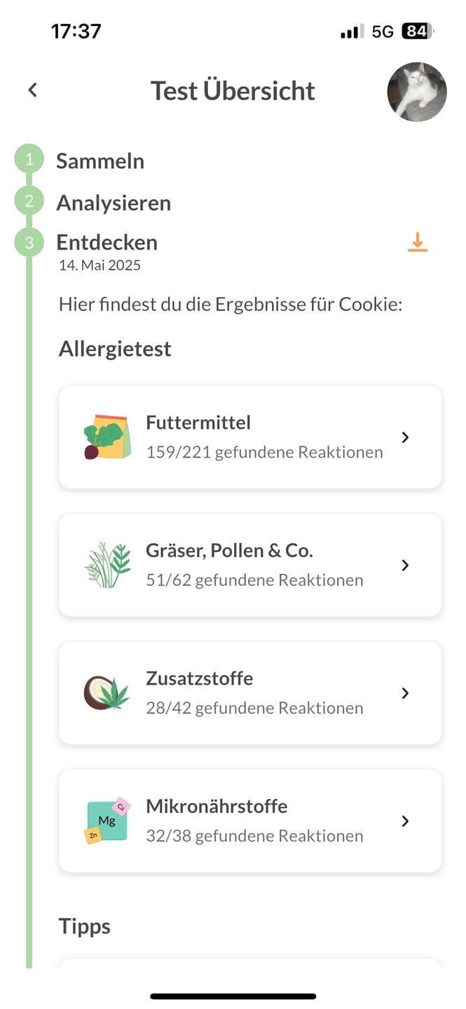 Customer photo review of Allergietest Plus Katze