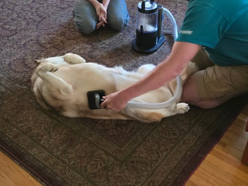 Customer photo review of Professional PLUS Pet Grooming Vacuum Kit