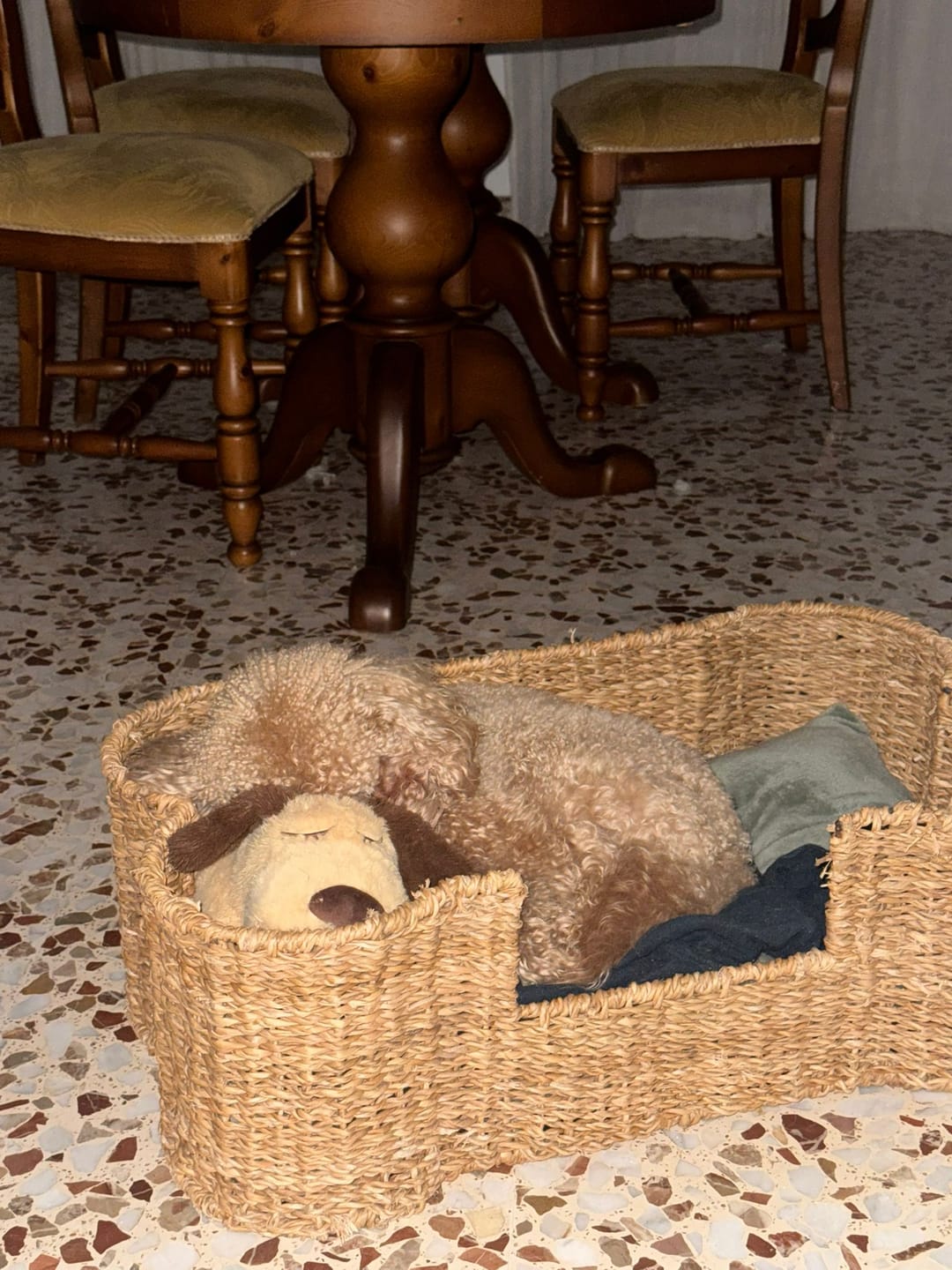 Customer photo review of Peluche Antiestrés para Mascotas