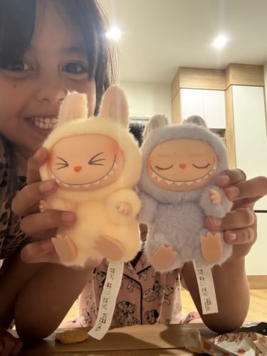 Customer photo review of Pop Mart Labubu The Monsters Have a Seat Vinyl Plush Blind Box
