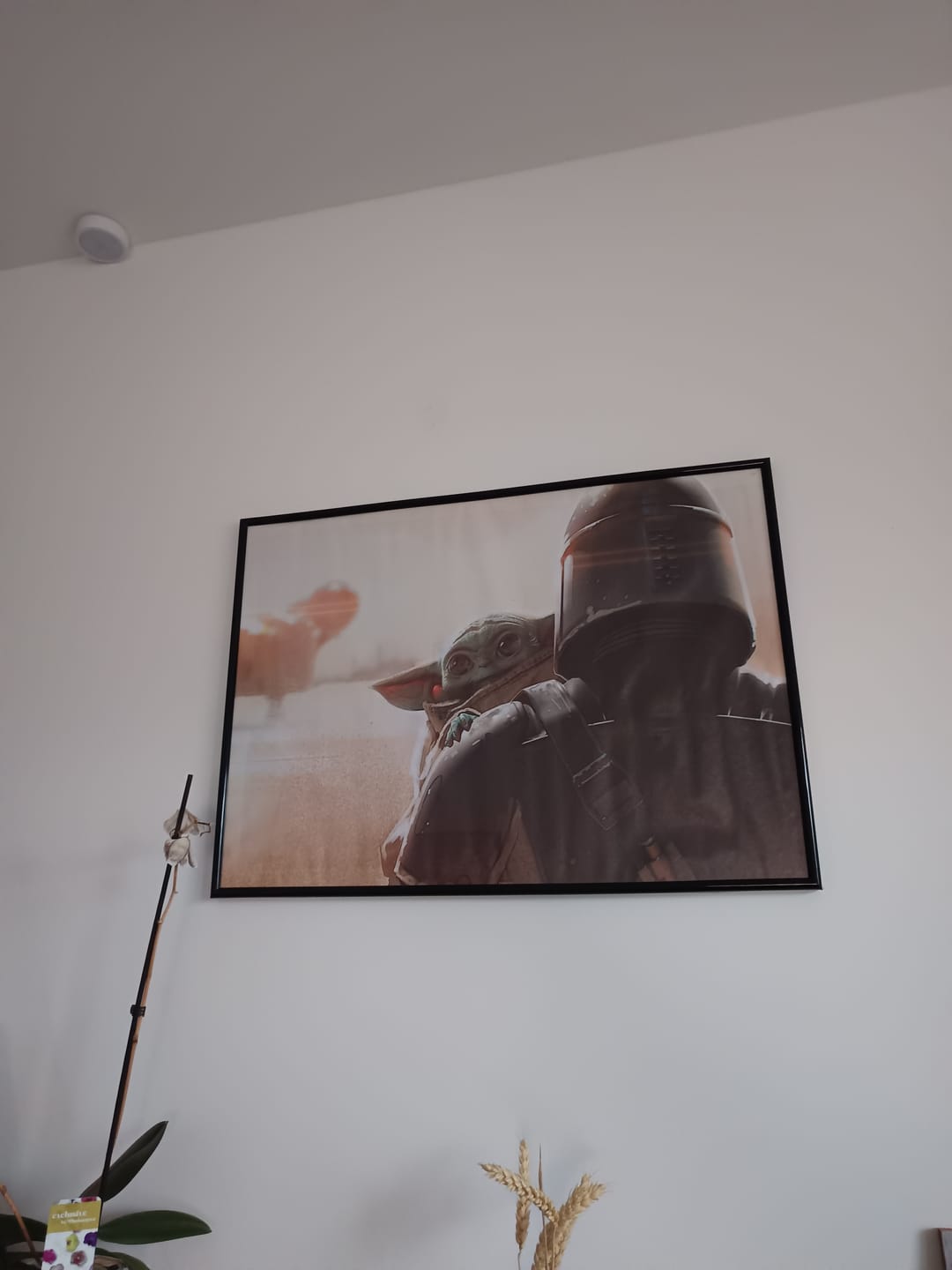 Customer photo review of MANDALORIAN