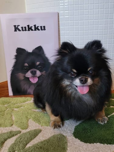 Customer photo review of Petcanva©オーダーメイド ペット似顔絵