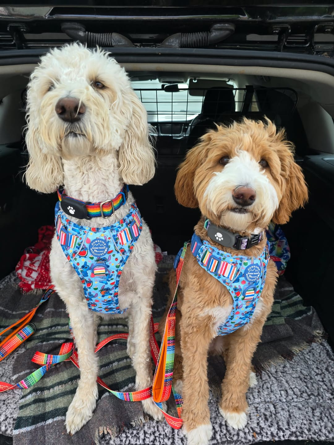 Customer photo review of Disney© Tough Trails™ Harness - Stitch's Fruit Fiesta