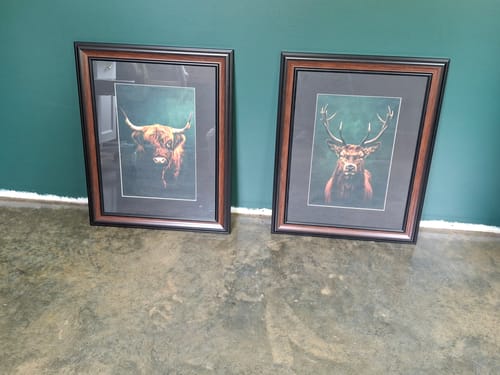 Customer photo review of Highlands Set of 2 Prints