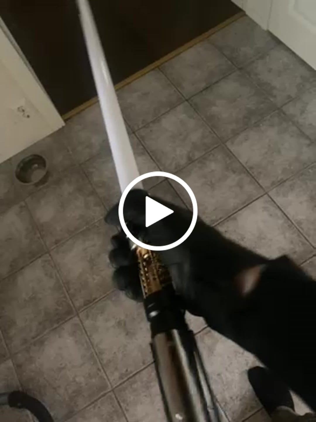 Customer video review of Star | Saber