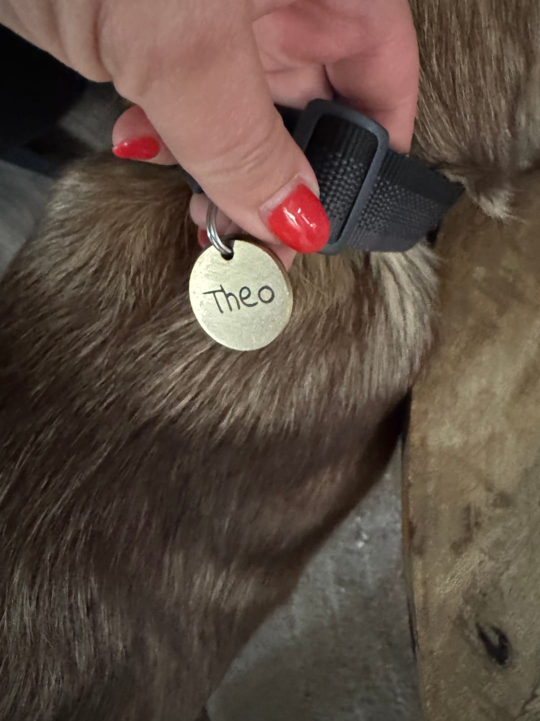 Customer photo review of Runde Hundemarke mit Gravur, Name und Telefon personalisiert