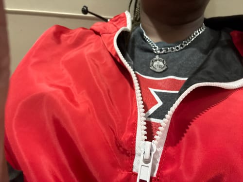 Customer photo review of Delta Sigma Theta - Crest Necklace- SILVER