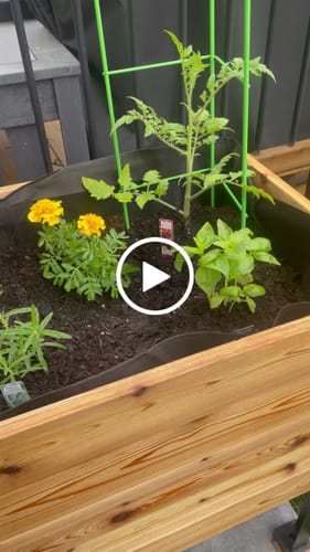 Customer video review of 18" x 48" Raised Garden Bed - 30" TALL