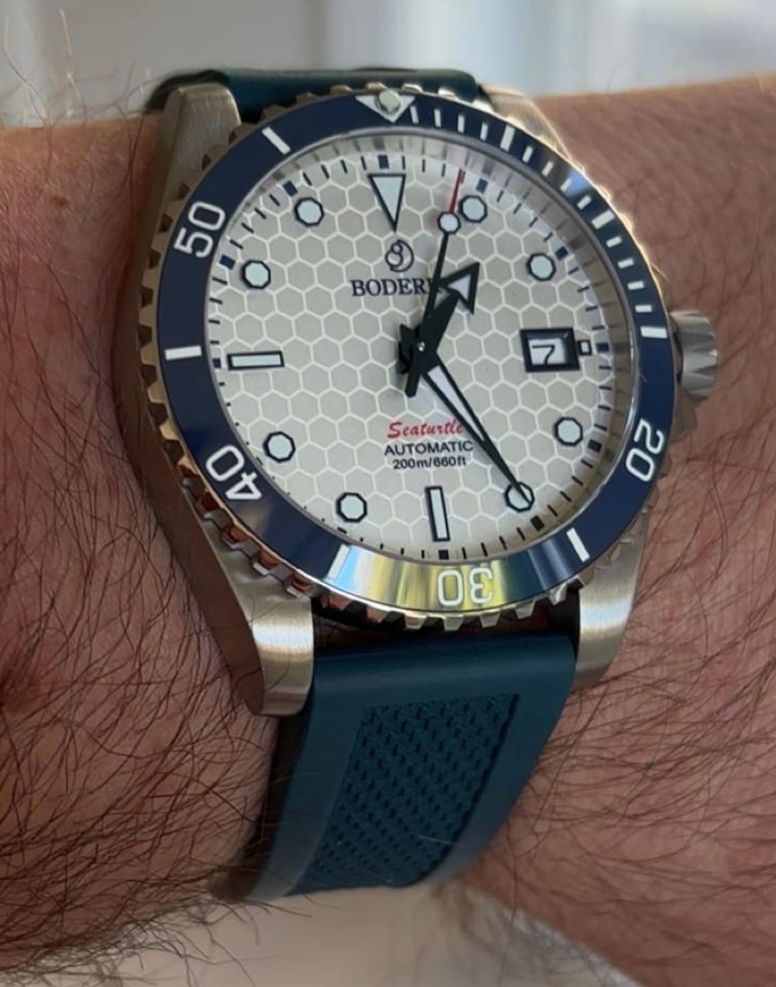 Customer photo review of SEATURTLE.OCEAN(TITANIUM) - Automatic Titanium Diver Watch | Arctic/Ti-bracelet
