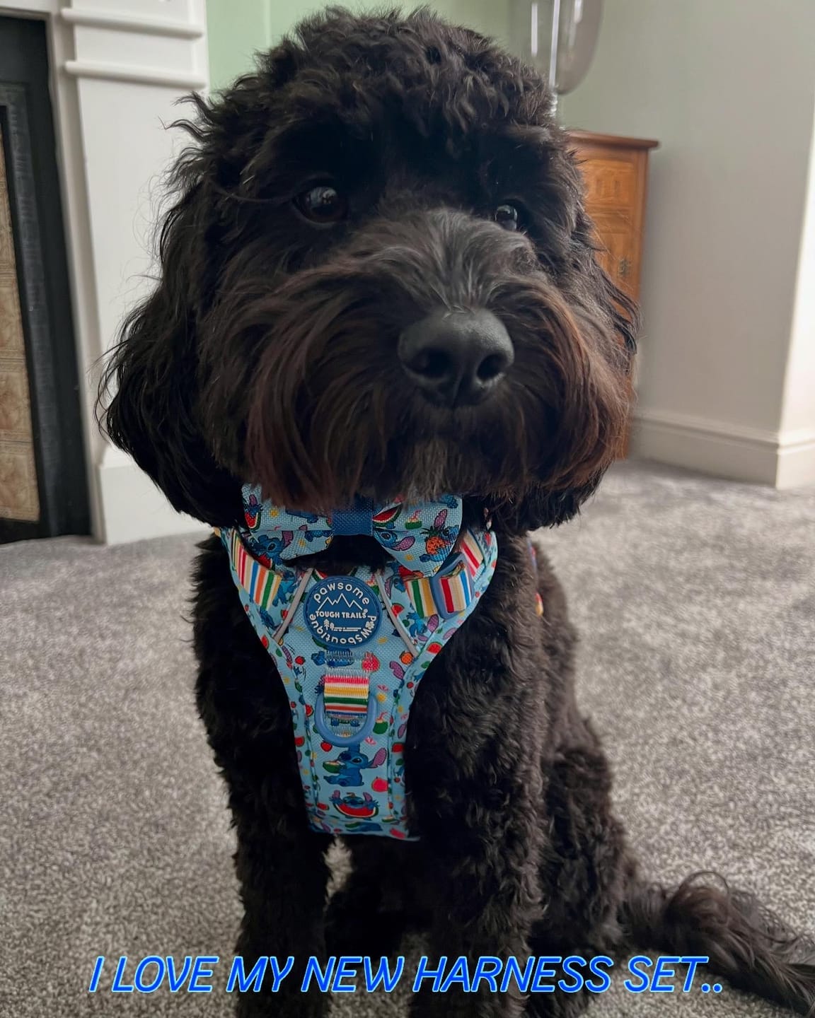 Customer photo review of Disney© Tough Trails™ Harness - Stitch's Fruit Fiesta