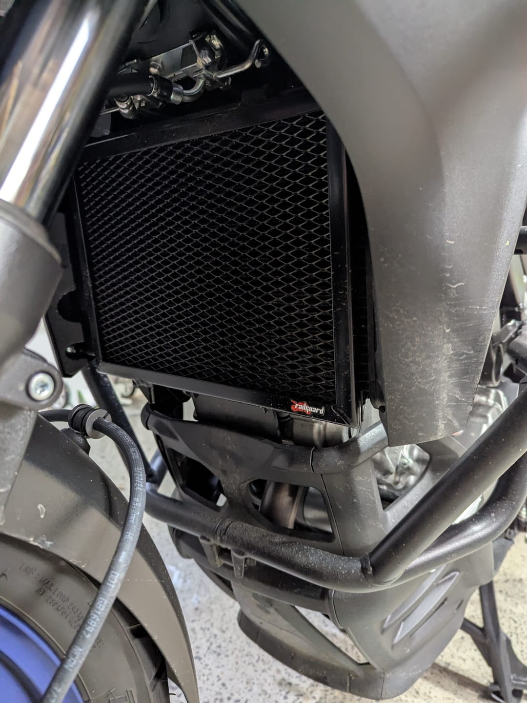 Customer photo review of Suzuki DL650 / DL650 XT / V-Strom  2012-2023 Radiator Guard