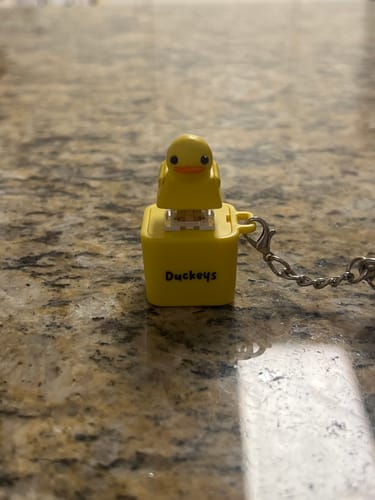 Customer photo review of Quackey - Fidget Toy that Quacks!