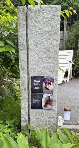 Customer photo review of Katzen Gedenktafel mit Foto & Spruch (UV- & Wetterfest)