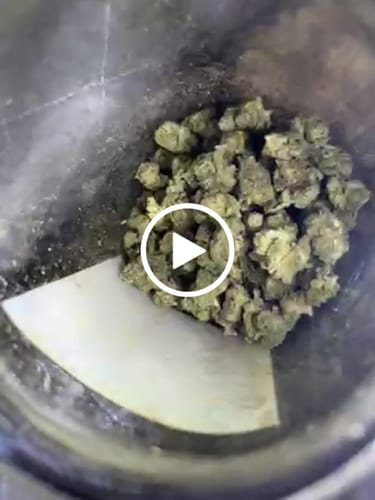 Customer video review of Greenhouse Smalls
