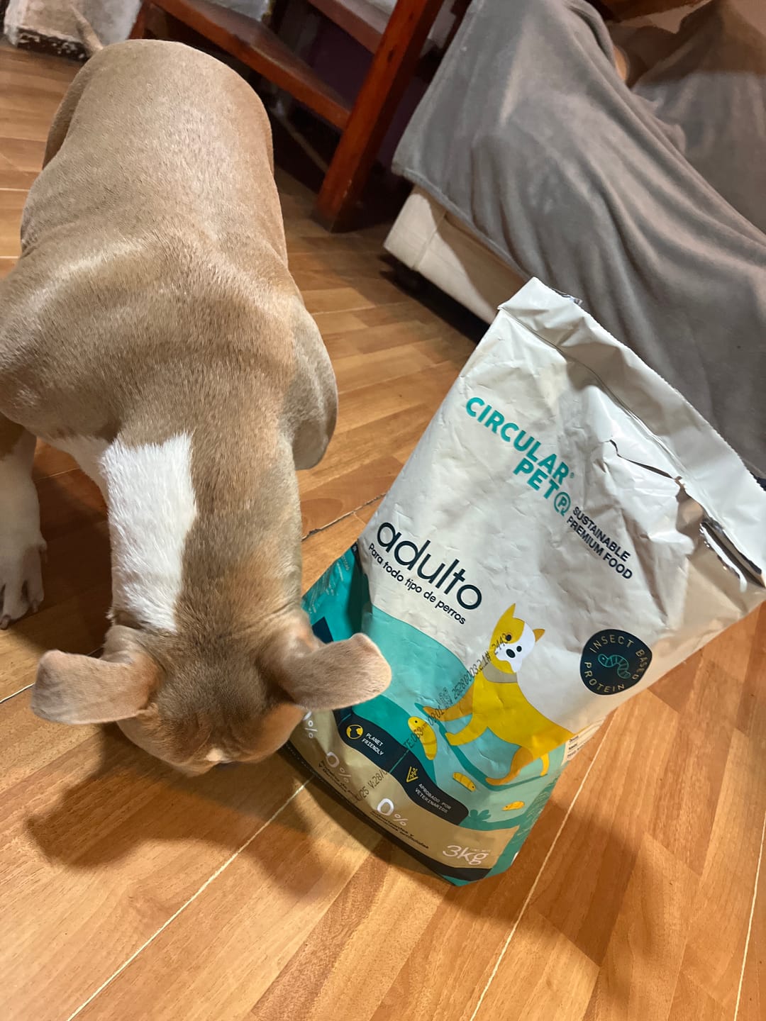 Customer photo review of Alimento Perro Adulto Toda Raza Proteína Insectos