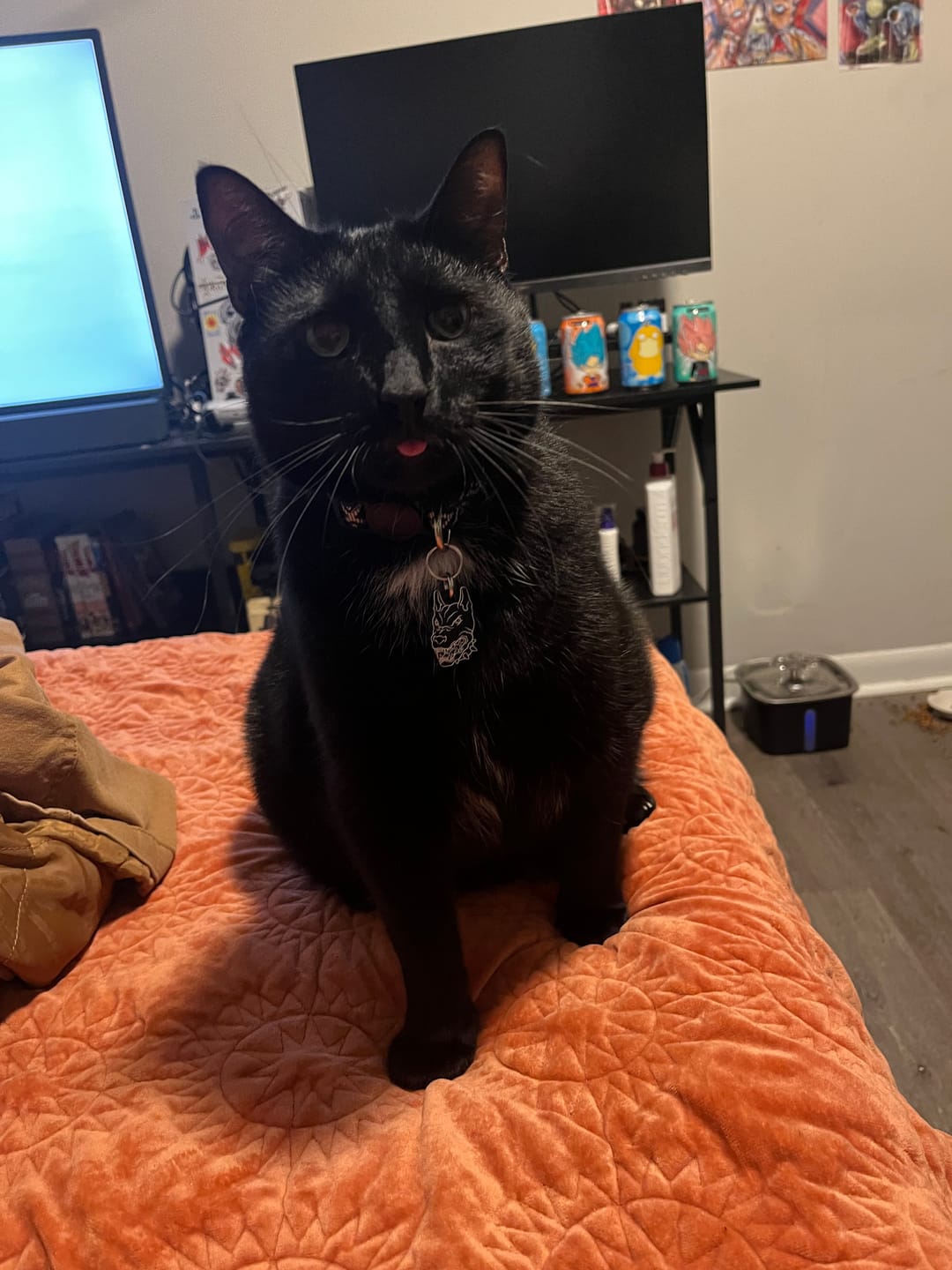 Customer photo review of PET TAG