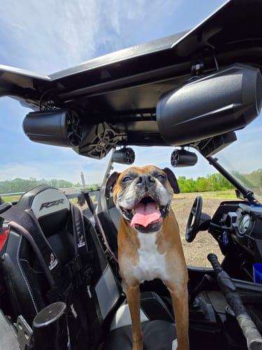 Customer photo review of NUTV5-S QUAD