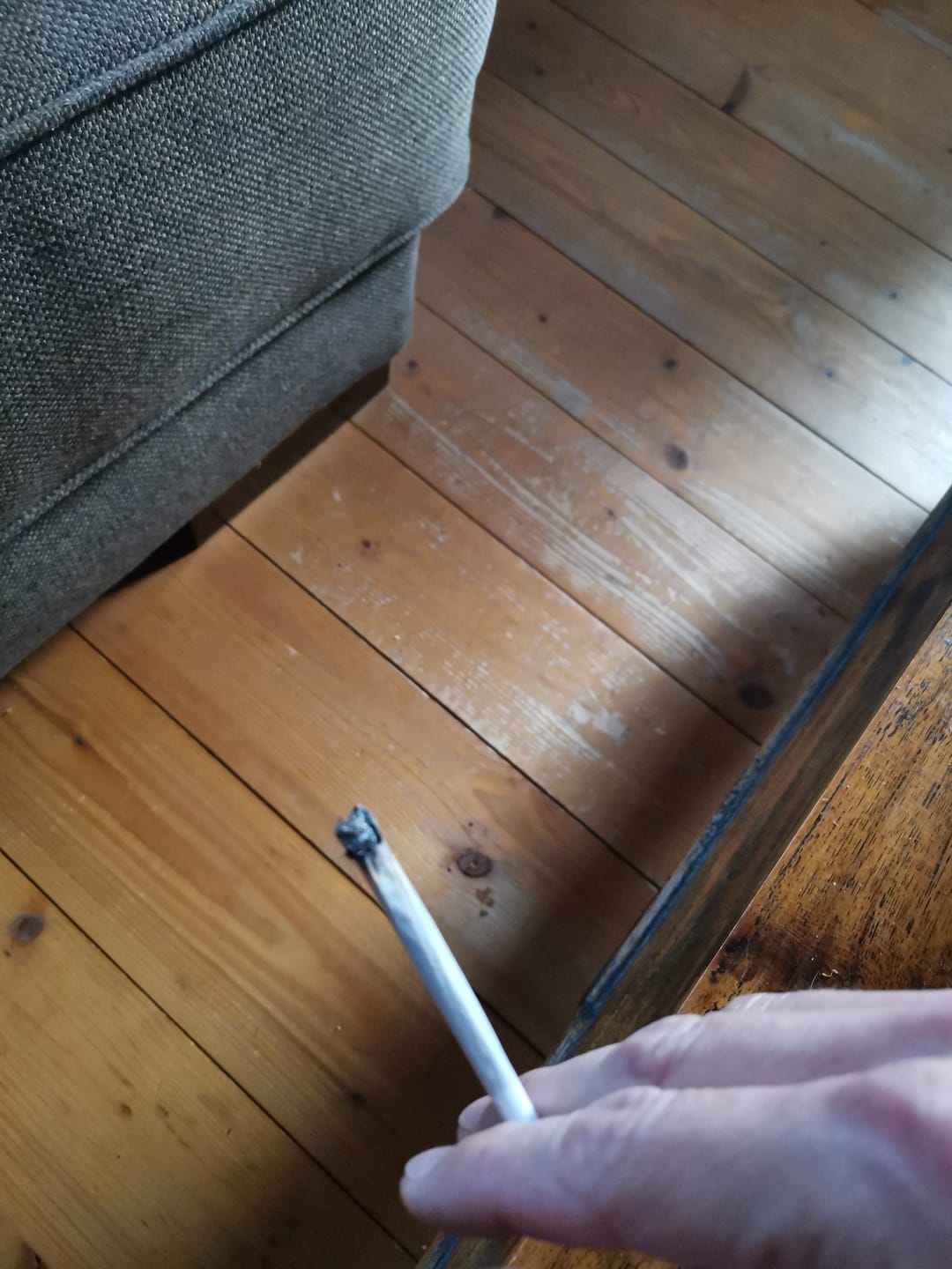 Customer photo review of La Mousse Royale Hasch - SATIVA TURBO LVL 4/5