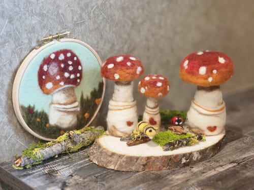 Customer photo review of Sophie Wheatley's Felted Fungi Supplies Box