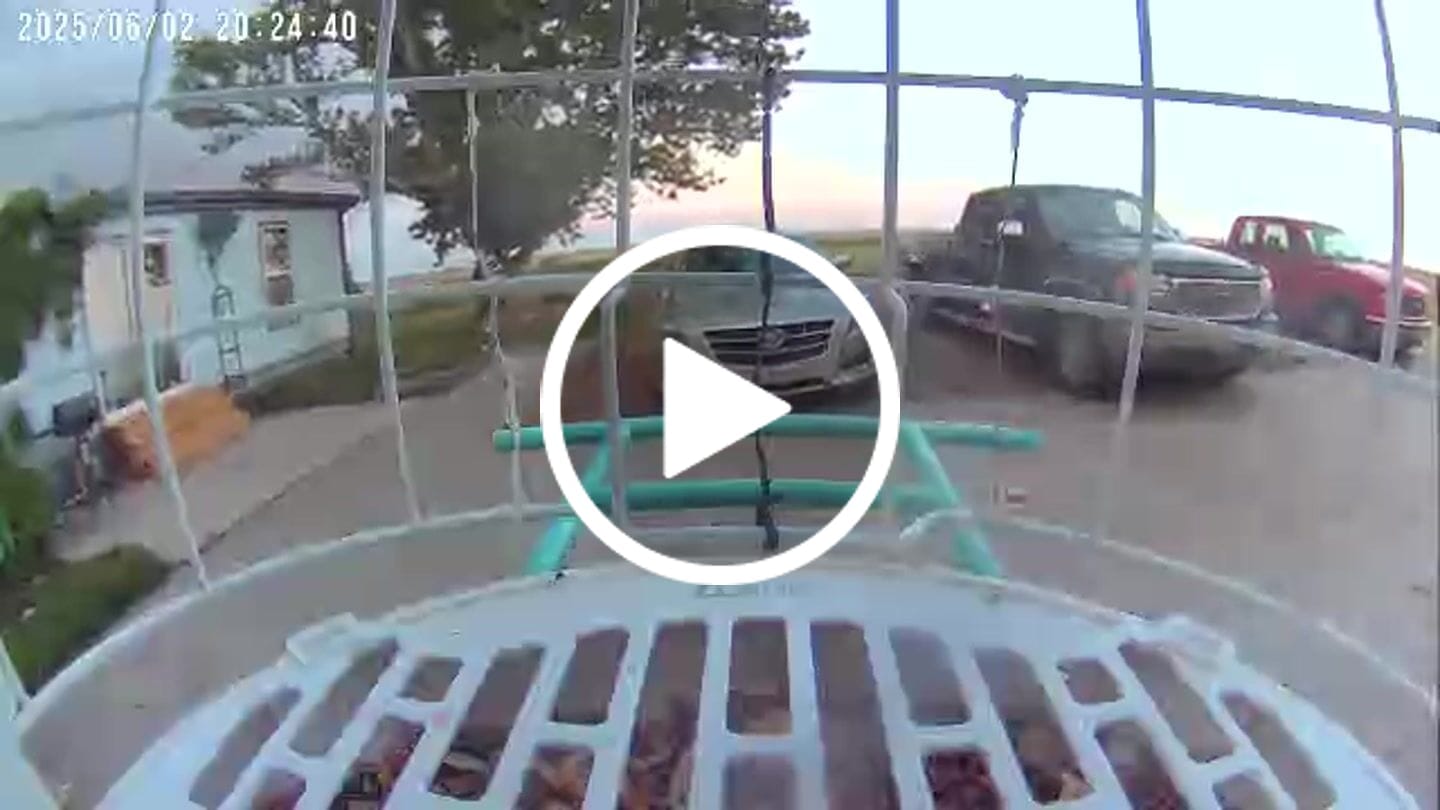 Customer video review of Birdfy Shield - Bird Feeder Shield