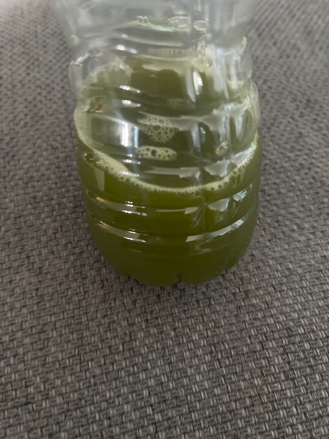 Customer photo review of Blueberry Matcha Blend