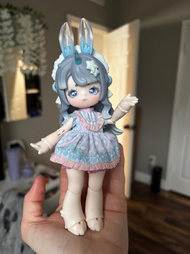 Customer photo review of Antu Cute Beast Magic Series Action Figure BJD Blind Box