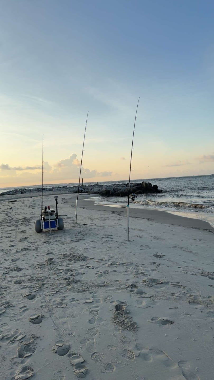 Customer photo review of Stowaway Surf Spike