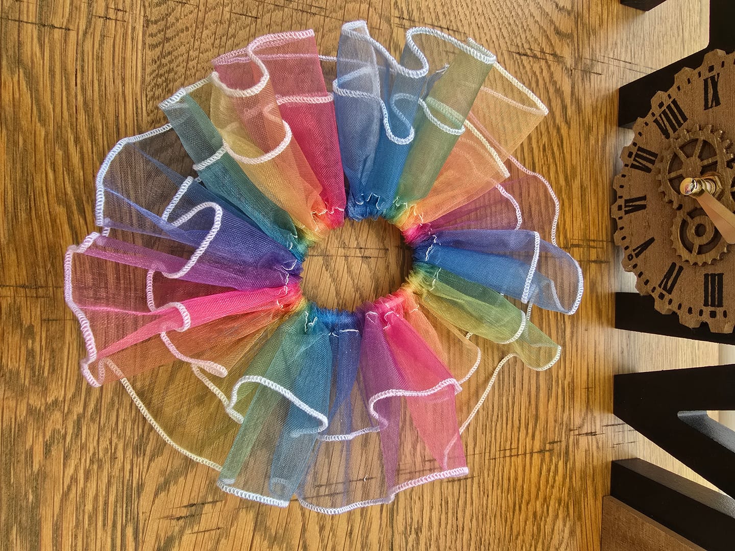 Customer photo review of Rainbow Organza Fabric
