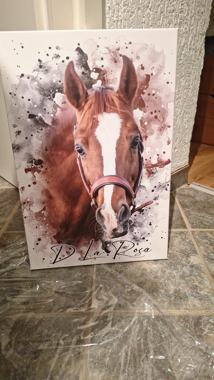 Customer photo review of Dein Pferd als Wasserfarben Portrait