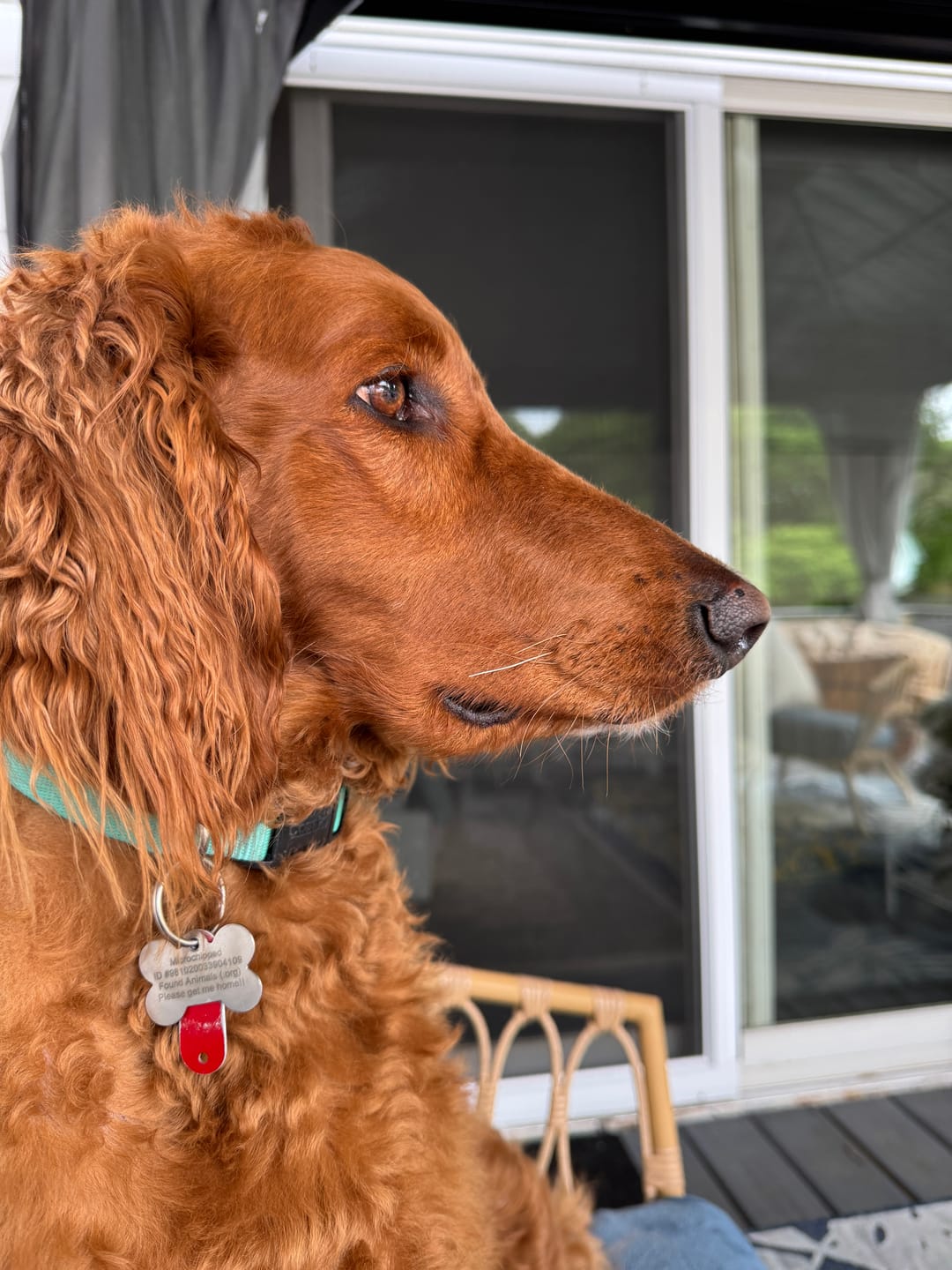 Customer photo review of FurLife Shipping Protection
