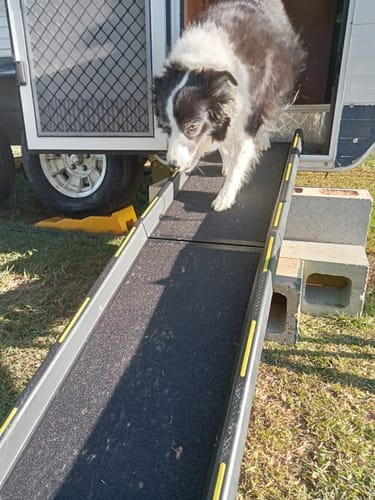 Customer photo review of Pawz Outdoor Pet Ramp with Reflective Strip