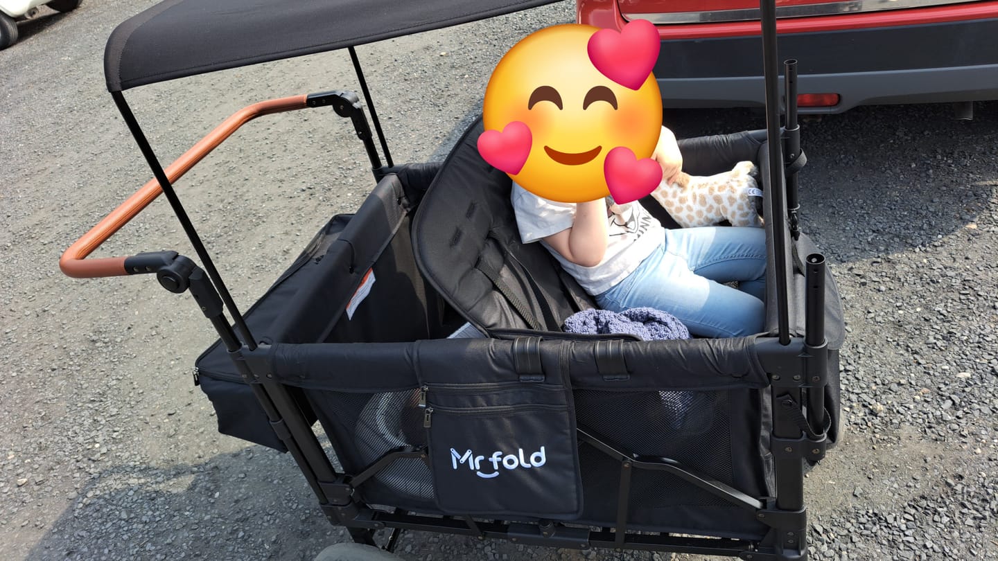 Customer photo review of P-Series Luxe 4-zits kinderkar