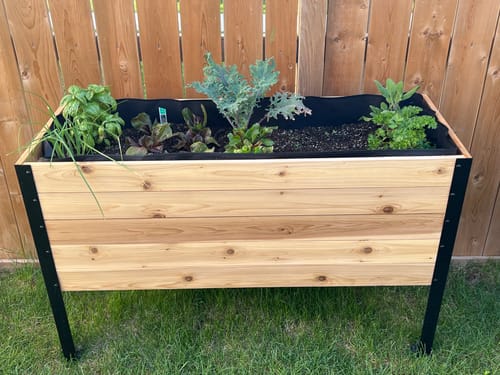 Customer photo review of 18" x 48" Raised Garden Bed - 30" TALL