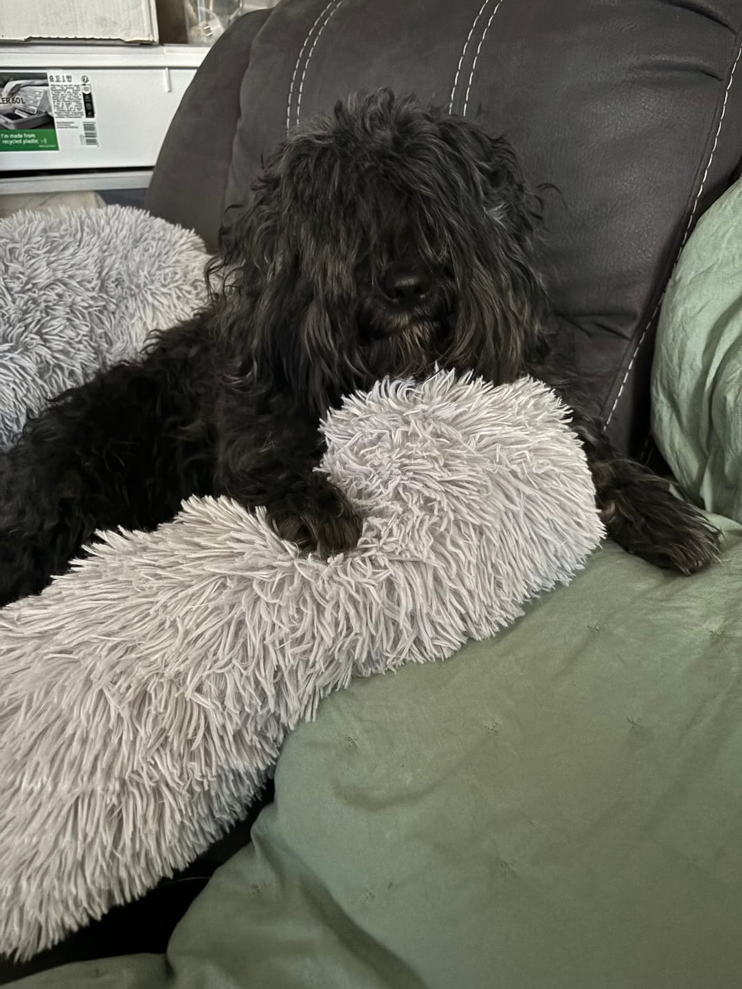 Customer photo review of CalmCouch - Motverkar ångest & skyddar din soffa