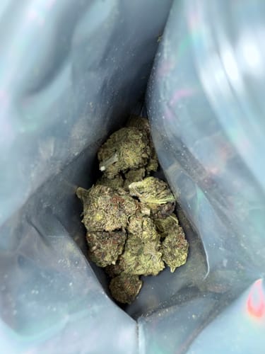 Customer photo review of Grease Monkey - 14 Grams Full Size Bud - Indica