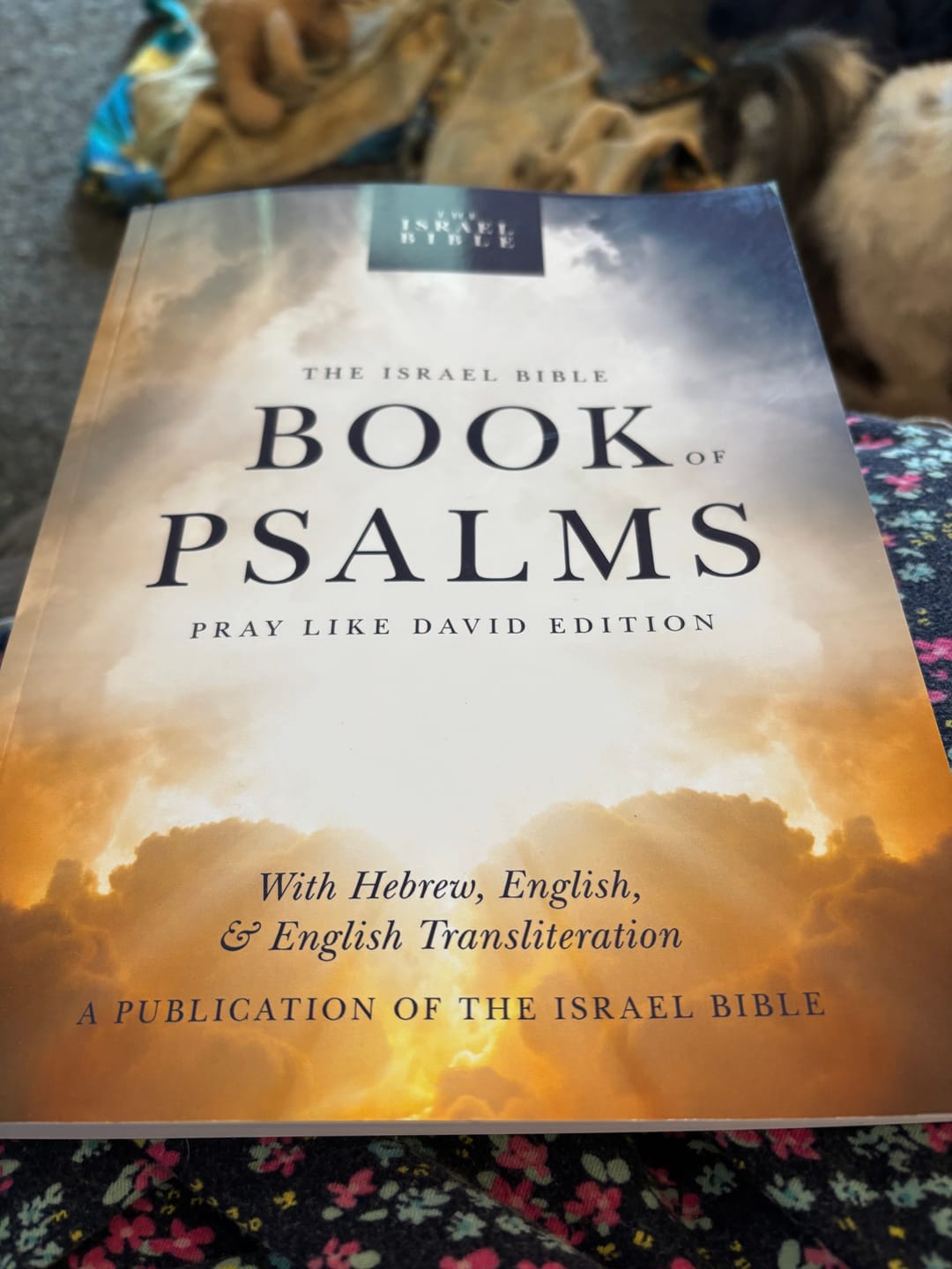Customer photo review of The Israel Bible Book of Psalms: Pray Like David Edition