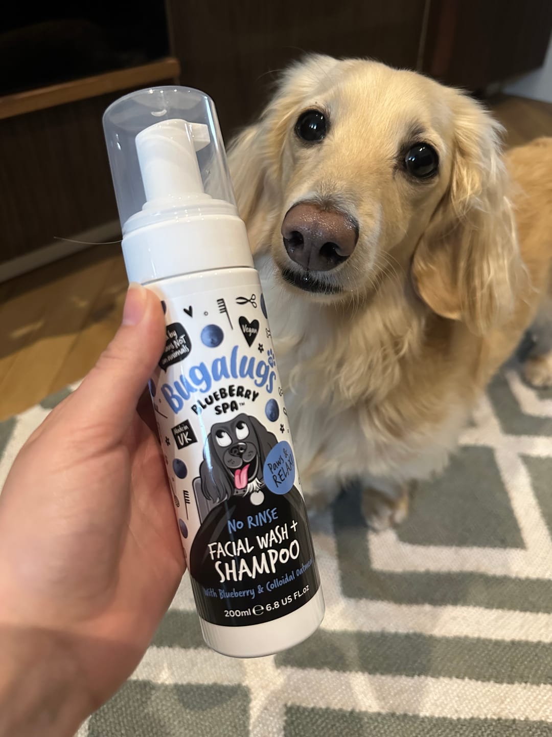 Customer photo review of Blueberry Spa™ No Rinse Facial Wash + Shampoo with Blueberry & Colloidal Oatmeal for Dogs