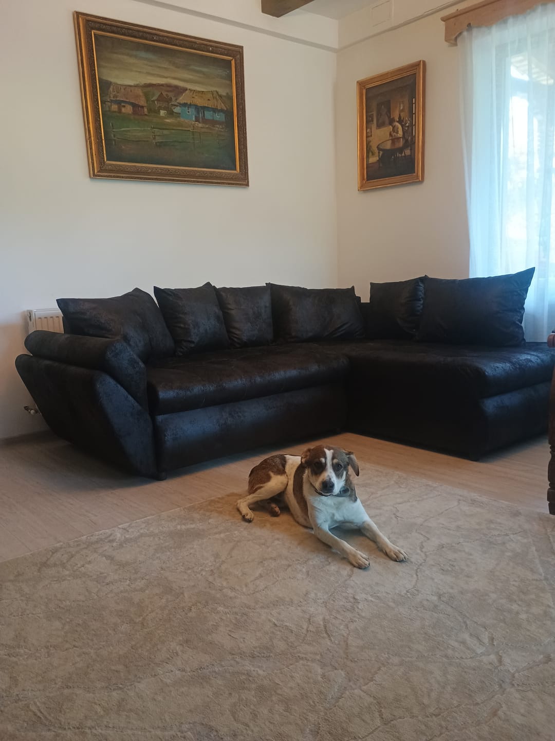 Customer photo review of Colțar extensibil dumonde cu ladă de depozitare si sezut confortabil din spuma HR, Loana Deep Black II 270x185 cm