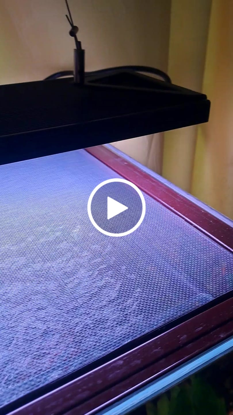 Customer video review of Chihiros WRGB II Pro LED Light