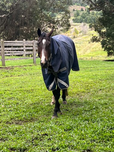 Customer photo review of Amigo 1200D Integrated Turnout 50g