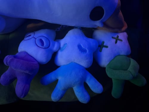 Customer photo review of Adopt a Star Baby Plush Blind Box