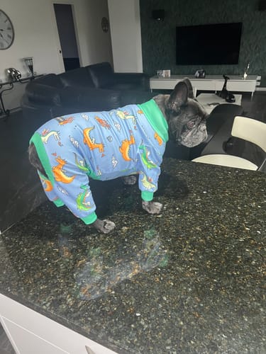 Customer photo review of Dog Pajama Prints