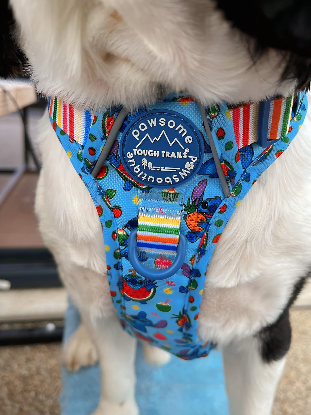 Customer photo review of Disney© Tough Trails™ Harness - Stitch's Fruit Fiesta